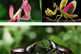 赠票福利！浙里“展演”超全指南，行程攻略都安排好了图片