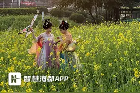 春日“顶流” ！彩色油菜花亮相福州花海公园图片