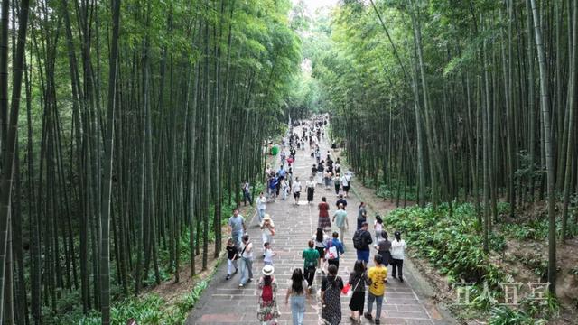 圆满收官！宜宾国庆中秋“假日经济”活力迸发