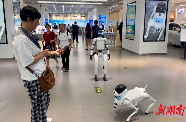 柜台来了“新员工”，机器人在移动东塘营业厅上岗