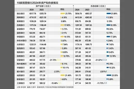 从规模扩张到结构调优 19家民营银行“新十年”转向图片
