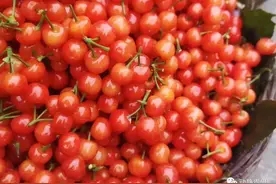 甜得像初恋！让你心动的贵州樱桃采摘地图来啦~图片