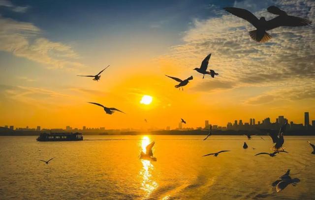 2026，你好！湖北仪式感20个必打卡清单