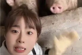 空姐裸辞回家养猪：人都腌入味了！在家凿冰冬捕不慎扎穿脚掌图片