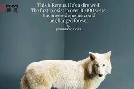 复活1万多年前“冰原狼”，幼崽登上《时代》封面，马斯克不语只一味发帖图片