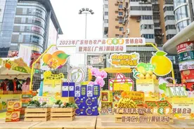 采购商选品、市民扫货！2023年广东特色农产品秋冬季营销活动启动图片