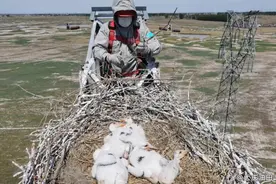 瞧！大庆油田的“野生动植物园”～图片