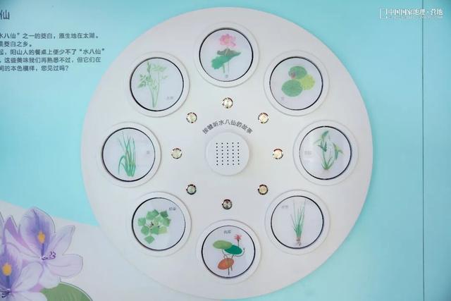 阳山自然驿站矩阵落成，全域科学体验线路启用