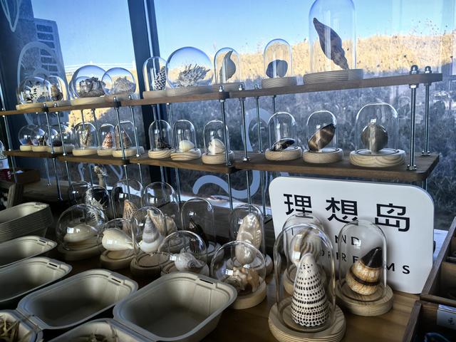 嵊泗走出海岛共富之路 浙江山区海岛县文旅推广活动启幕