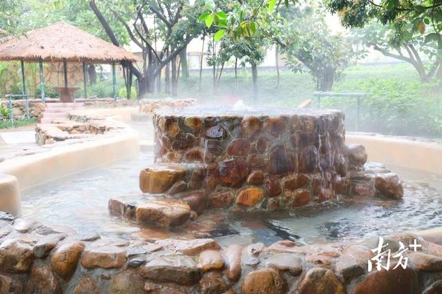 广东省国学学会会长王焱解码清远疗愈经济｜智库视点