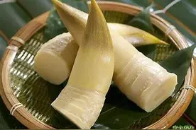 清明时节好扯笋，专家提醒：笋子虽美不可贪吃！图片