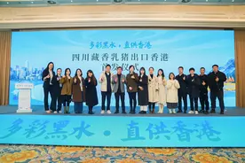 首批1000头从成都启程，四川藏香乳猪首次供港图片