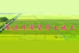 共塑农文旅 共享“莓”好生活——农安县合隆镇开启第三届草莓文化旅游季图片