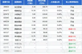 11月5日阳谷华泰涨12.43%，华夏稳福六个月持有混合A基金重仓该股图片