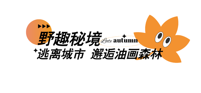 观叶、登高、逛街巷......这份西山秋日漫游图鉴送你，来一起赏秋