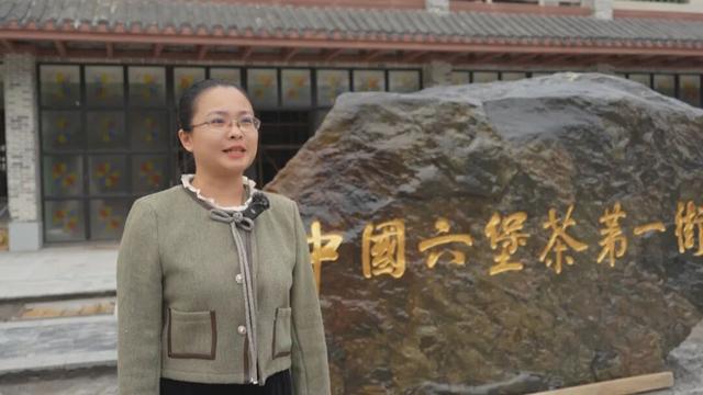 2025中国黑茶大会—2025梧州六堡茶文化节丨以崭新形象迎接盛会 苍梧县全力加快六堡小镇建设进度