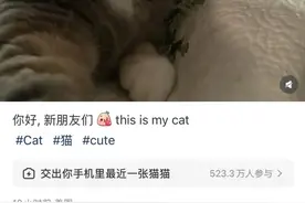 “交猫税”“交狗税” 大批美国网友涌入小红书图片