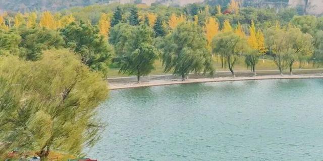 亮相央视！洛阳这些赏秋地，太美！