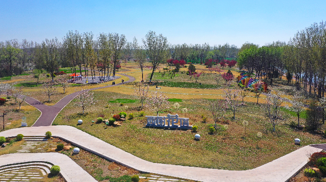 【看见•滨州】春日游园赏繁花 滨州品质提升绘就宜居新画卷