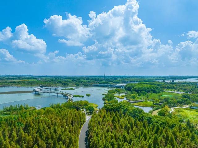 乘沪苏湖高铁游示范区，这三站玩转夏日亲子之旅