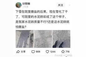 撒盐化雪导致水泥砖出现坑洼，这事到底是真还是假？图片