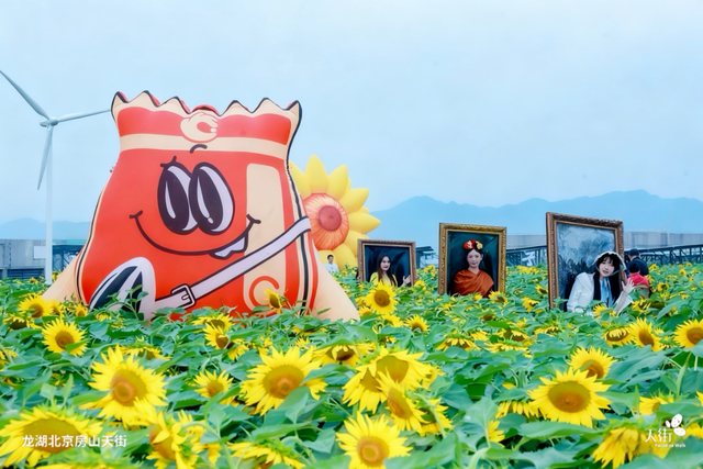 多彩京秋各区巡游 | 房山探索“花卉+商圈” 龙湖天街向日葵花海带来秋季仪式感