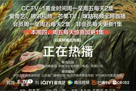 加更来袭！援外现实题材电视剧《幸福草》周四周五每天惊喜更新3集图片