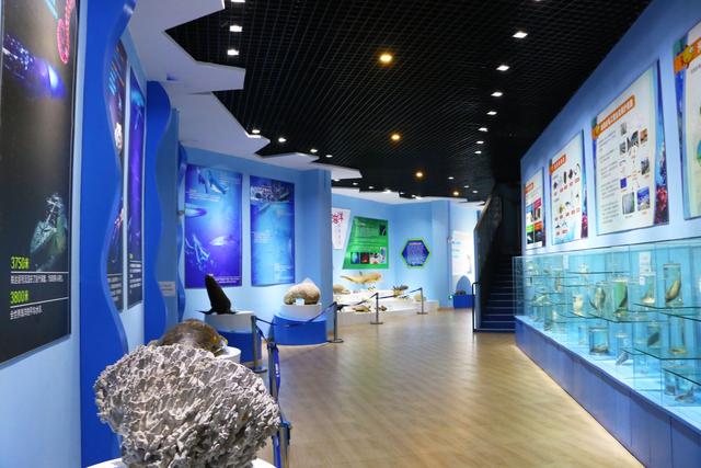 春节遛娃好去处 石林冰雪海洋世界推出2月限定梦幻灯展夜场