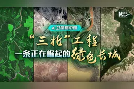 “三北”工程，一条正在崛起的绿色长城图片