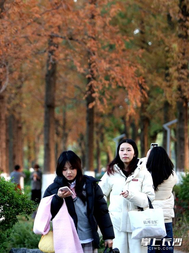 组图｜又是好天气，市民乐游园