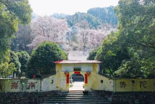 一花一瀑一云烟，庐山春意正当时