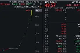 “12连板+地天板”，大涨245%！大牛股：可能被实施退市风险警示！图片