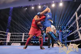 中国自由搏击力量大检阅，谁将代表中国出战？图片