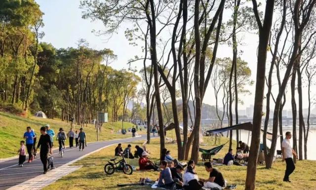 南昌新晋打卡地！鱼目山公园冬日限定浪漫等你来解锁