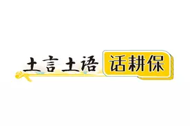 土言土语话耕保㉑|建粮仓、晒场，须办设施农用地备案并上图入库图片