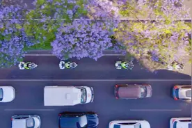 注意！“蓝花楹大道”教场中路片区交通组织有调整图片