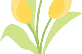 灵活就业人员能否补缴社会保险费？图片