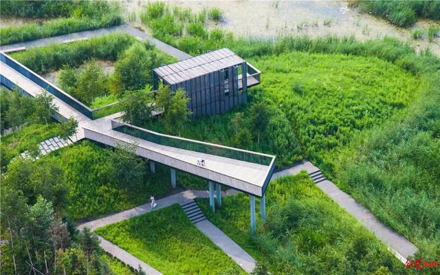 俞孔坚最后影像仍在呼吁湿地保护 原团队成员：他喜欢用影像文字记录生活