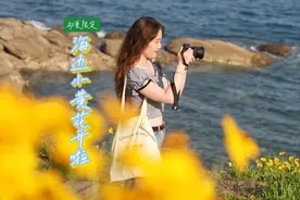 湛蓝海水配明艳小黄花！青岛鱼鸣嘴初夏海边美如油画图片