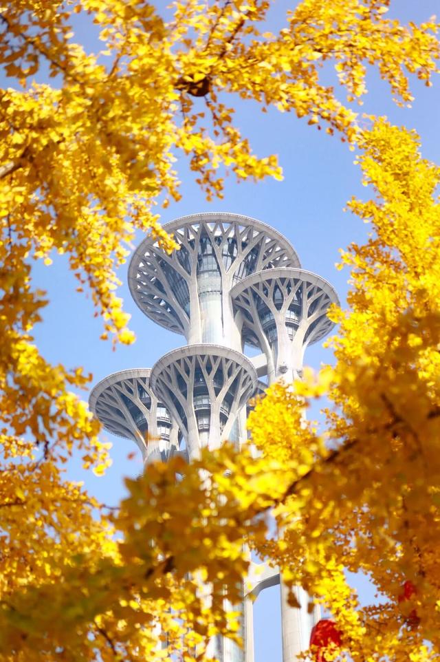 11月最应该去哪里旅行？