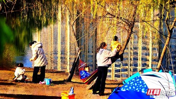 【每日一图@湖南】漫步粟雨湖畔，拾取水杉与冬光合写的暖意篇章