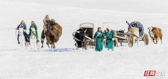跟着网友游内蒙古丨雪线之上，生活如歌