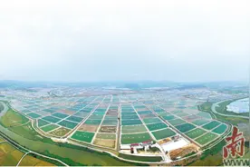 “鳗”妙滋味 “游”向全球图片