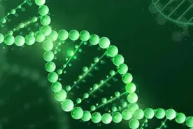 聚焦关键技术，巨子生物品牌持续推动行业创新图片