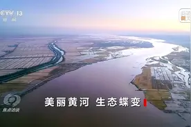 焦点访谈丨从“最难治理”到生态蝶变 九曲黄河已25年无断流图片