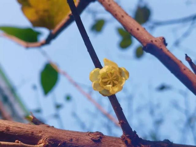 冬天，遇见不一样的潍坊！