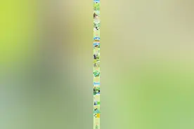 AI漫绘丨春耕图景里的科技范儿图片