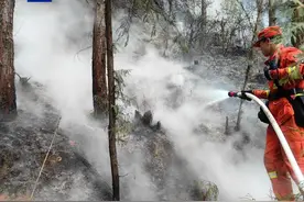 川陕跨界山火明火已全部扑灭，转入看守阶段图片