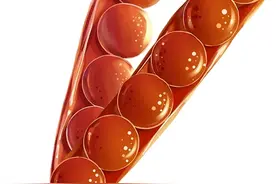 这些年货，到底能不能带？图片