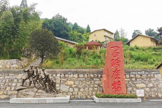 一花黄 多业兴！泸州白沙场镇走出农文旅融合新路